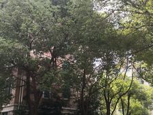 半岛豪门花园5室3厅3卫南