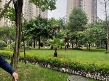 军安卫士花园 2室2厅 东