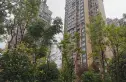 北新上锦实景图