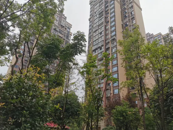 北新上锦实景图