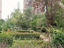 锦辰佳苑 1室1厅 南