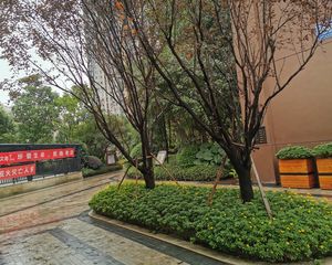 蓝光花满庭三期北区2室1厅南