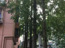 川沙·西河浜路116弄·3室·1厅