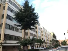 房子多层5楼 采光充足 精装一室东向 36.5万!随时看