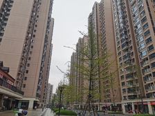 保利城四期中央郡3室2厅南