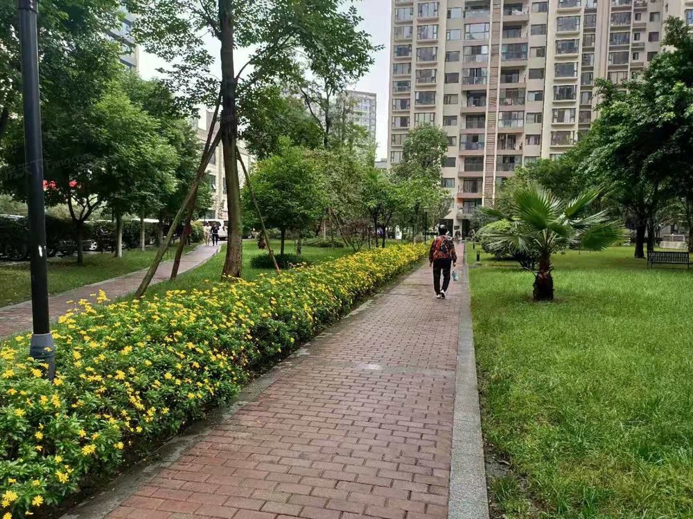 小区相关图