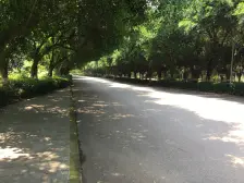 虎溪花园 2室2厅 南