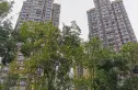 北新上锦实景图