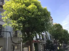 业主急售,品质小区,价格好谈,环境优美