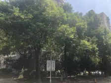 出门即召楼星天地生活广场+高区+业主诚意出