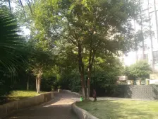 香溢花城二期 南北通透,采光好 视野好,诚心出售