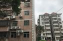 新加坡花园二期实景图