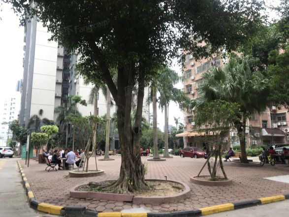 新加坡花园二期实景图