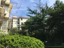 江湾 · 川虹小区 · 2室 · 1厅