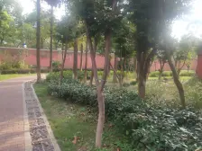 动静分离 两房带厅 楼层采光好 业主诚心卖