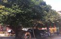 临涧路1号院实景图