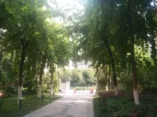 香溢花城二期 南北通透,采光好 装修好,环镜优美 视野好,诚心出售