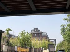 随时看房 无抵押 精装 新上房源