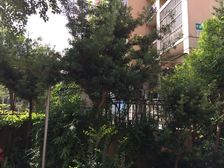 卫生间全明,小区景观位置,小区中心位置,主卧朝南