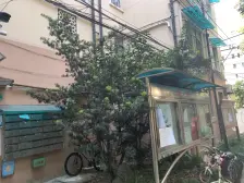 近地铁 刚需上车,采光好 产权清晰,店长力推