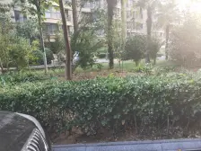 中原新城王府东院 2室1厅 南