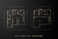 D2户型197平