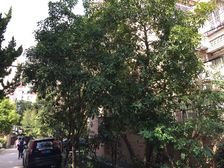 江湾·丰镇小区·3室·1厅