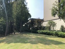 刚需上车中间楼层,无抵押新上房源
