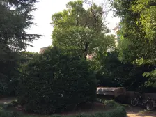 新上!江湾镇双轨交地铁,全明精装修,停车可方便了!