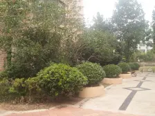 青山湖边上 适合养生的好地方 ...