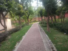 低楼层 老人友好 可拎包入住 生活配套全