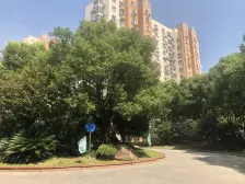 出门即召楼星天地生活广场+高区+业主诚意出