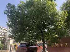 房东诚意卖,南北户型,通风采光也很好