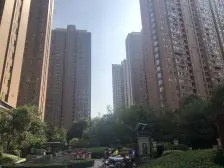 精装修 满屋唯一,南北通透格局 好 视野宽阔。