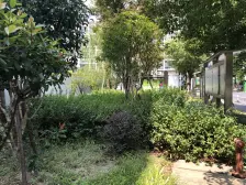 辰丰苑 1室1厅 南 北