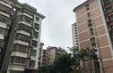 新加坡花园二期实景图
