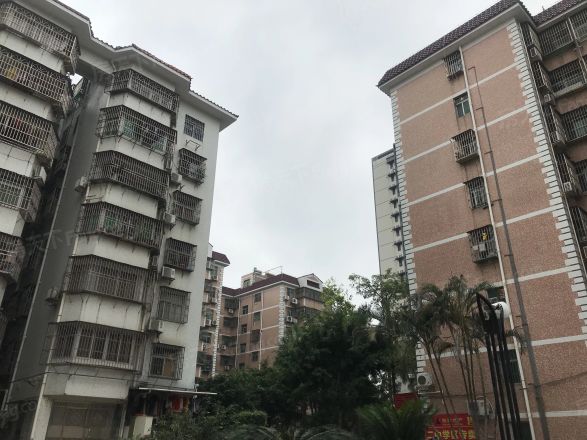 新加坡花园二期实景图