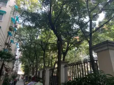 地铁200米,采光视野好,户型方正南北通,满五税费少