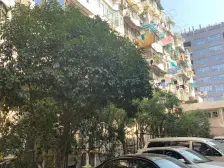 内环内户型,单价低,户型正,配套成熟,诚意出售