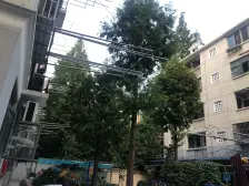 静安大宁两房,房龄新,地铁口,公园旁