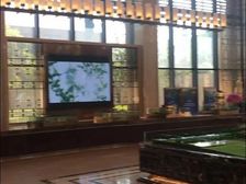 莲湖锦城二期 别墅 户型利用空间大 边户自带大花园