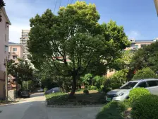 虹口区江湾丰镇路14弄2室1厅