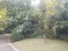 香溢花城二期 南北通透,采光好 装修好,环镜优美 中间楼层