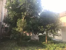 老闵行·汽轮新村·2室·1厅