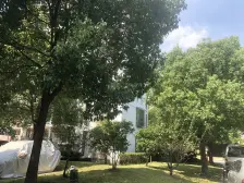 出门即公园 享受森林氧吧 环境优雅 地铁近