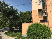 丰镇小区1室南朝向250.00万元/套出售