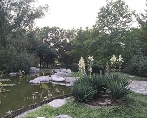风荷曲苑绿化好近银座近地铁三室两卫