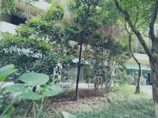 南滨路 精装3房2卫 九层新 保持好视野好 住家安静