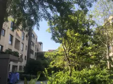 浦江坤庭3室东朝向928.00万元/套出售