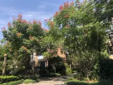 精装,随时看房 现场实勘 必看好房